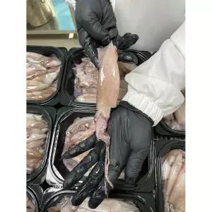 한치 총알한치