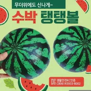 비치볼 수박비치볼 비치볼 칼라비치볼 무지비치볼 삼색비치볼 돼지비치볼 물놀이공 물놀이용품 탱탱볼