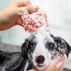 목욕빗 강아지 고양이 샴푸브러시 반려동물 발닦이기 발세정 목욜 목욕솔 빗