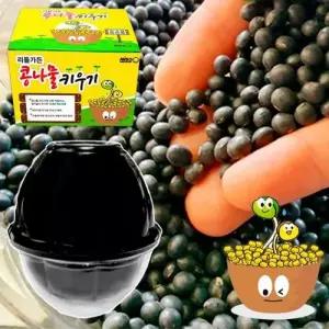콩나물키우기 키트 재배기 가정용콩나물 - 국내산 WFN1A6S