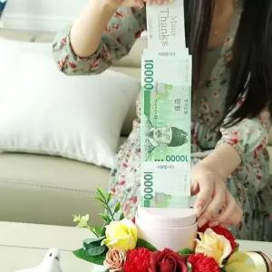 (올핀)플라워용돈케이크(대) 레드 반전 부모님 선물 어버이날