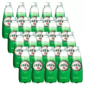 트레비 자몽 300ml 20입