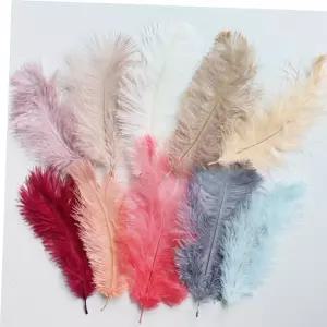 천연 타조 깃털 장식 인테리어 사진 10color/미니