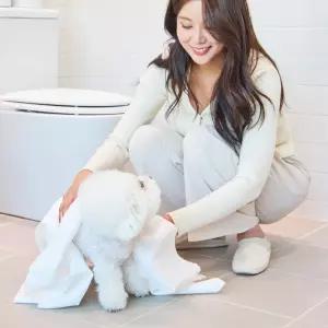 순둥이 펫 타월 M 40매 1팩 /생분해 강아지 고양이 수건