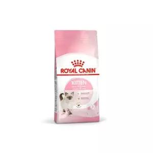 로얄캐닌 고양이사료 키튼 10kg