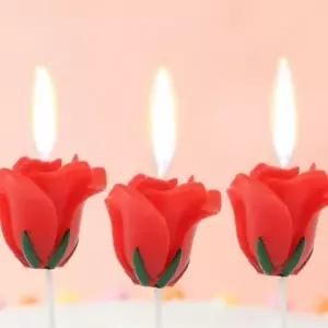 촛불 캔들 이벤트 생일 케초 생일초 축하 파티 초 3개입 레드장미 DP70687
