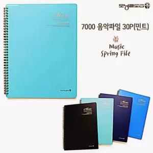 모닝글로리 음악파일 시스템파일 관공서 시스템화일 서류보관 민트 학교 30P 사무용품