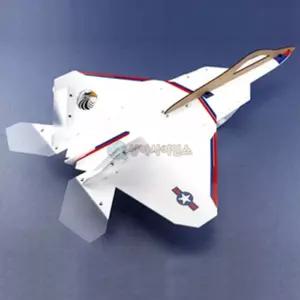 (SA) 윙글라이더(랩터) F-22비행기 글라이더