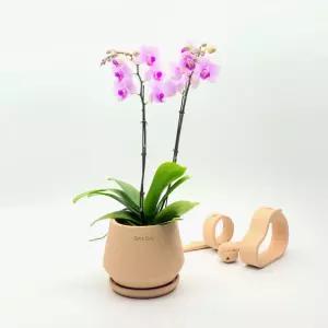 테라원 내열토 수제 토분 BK03 엣지사일로 12x13cm 장식 화분 디자인 실내 식물 인테리어 소품 정화분 꾸미