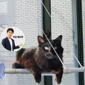 지금 필요한 강아지 바구니 캣타워 해먹 부착식 고양이 접착