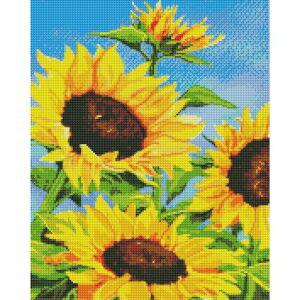 [기타]하모니아트 보석십자수 40x50 해바라기와 파란하늘