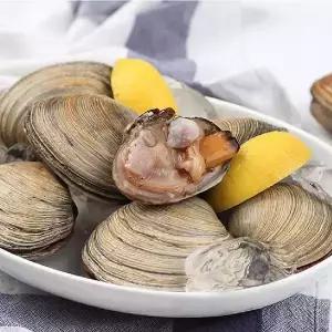 숨비해물 당일조업 국내산 생물 개조개살300g