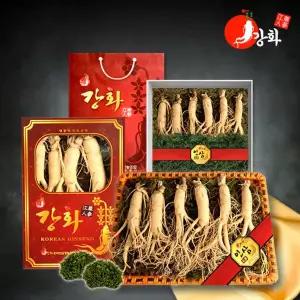 [강화초지인삼][바로배송][강화초지인삼][바구니선물포장] 5년근 수삼 1채 750g (4~5뿌리)
