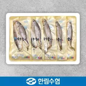[한림수협][바로배송][제주 한림수협] 제주직송 제주 진공 굴비 세트 700g*3팩 30마리(10미/1팩)_국내산...