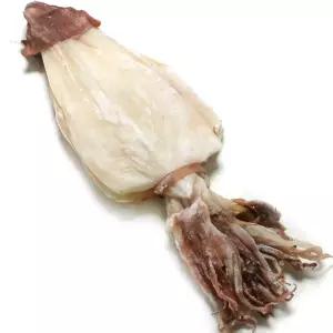 한치 3L 500g 한치 중에 가장 큰 크기 건한치 마른한치 화살오징어 오징어 쪽빛누리