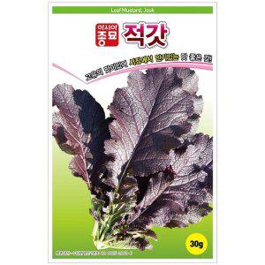 [아시아종묘]씨앗 갓 적갓 30g