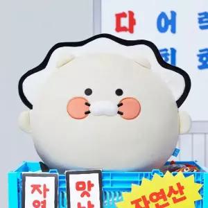 KAKAO FRIENDS 춘수산 굴 필로우_춘식이 5008704528 428177
