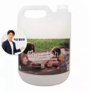 지금 필요한 샴푸 대용량 1P 목욕 세정 셀프 4L 백모용 강아지 강아지샴푸린스