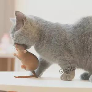 사실적인 고양이 마우스 새끼 훈련을위한 물림 방지 디자인을 갖춘 부드러운 고무 티저 놀이 대화 형 애완