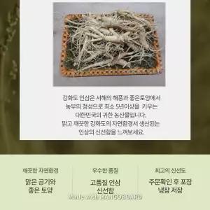 강화도 못난이인삼750