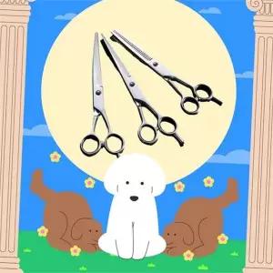 반려동물 미용 가위 고양이 강아지 곡선 애완 동물 미용 가위 3종세트 이발 셀프 도구