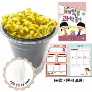 오너클랜 만들기대장 콩나물 키우기 관찰기록지포함) 관찰