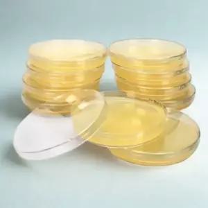 한천 배지 표준 세균 배양 영양 배지 90mm 1pcs