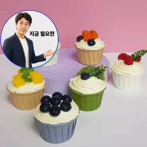 지금 필요한 장식미니어처 모형 컵케이크 사진촬영 진열 6종세트