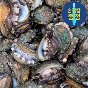 완도 활 특대 전복 부터 꼬마전복 크기별 1kg,  손질도구 및 봉지미역(20g) 각1개씩 무료