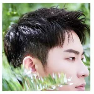 남자 댄디컷 인모 투블럭 블랙 가발 GWEAD6D4