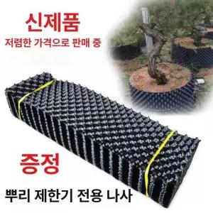에어포트화분 분갈이 플라스틱 묘목 인테리어 분재 가드닝