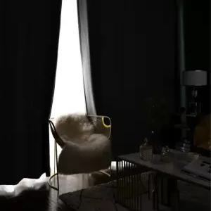 리얼100 암막 양면커튼 중형 가로290x세로230cm