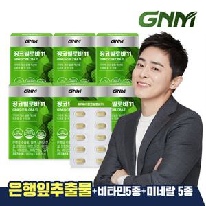 GNM 징코빌로바11 6박스 / 은행잎추출물 비타민B 아연 판토텐산