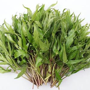 [우리가락]당귀잎 250g