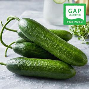 [GAP인증] 산지직송 진주 스낵오이 미니오이 1kg(8-16개내외)