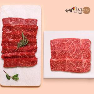 갤러리아_[농협안심한우][냉장] 1++ 고급 특수부위구이 체험팩 400g (살치+