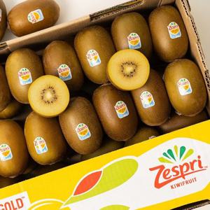 [과일꾼]갓 통관된 제스프리 골드키위 특대과 20과(140g내외)