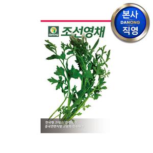 조선 영채 씨앗 5g . 야채 채소 텃밭 파종 재배 주말 농장 씨 종자.