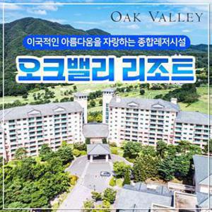 오크밸리 룸온리vs조식3인 포함 바운스&수영장 패키지 11월까지 얼리버드