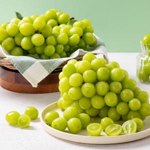 국내산 샤인머스켓 특품 1kg 2kg