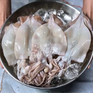 손질 오징어 국내산 서해안 생물 진공포장