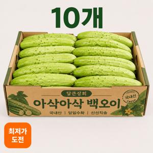 TEMU [아삭아삭] 수분가득 백다다기오이 10과 특품 (개당 180~200g)