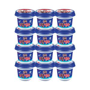 TEMU 롯데웰푸드 일품팥빙수 240ml x 12개
