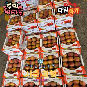 [시즌게시]추희자두 제철과일 초특가 1kg