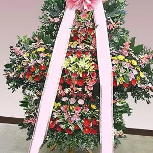 (올핀)축하 화환 5단 꽃배달 서비스 특급 중급