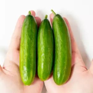 프레시 국내산 아삭한 스낵 미니오이 2kg