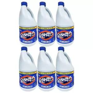 락스 레귤러 한박스 유한락스 2L
