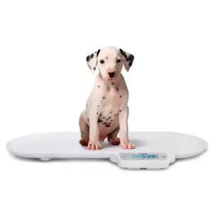 고양이 체중계 신생아 아기 강아지 유아용 저울 반려동물 펫계 무게 카스