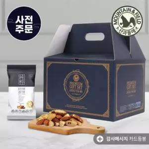[사전주문]산과들에 추석선물세트 견과만담은 하루견과 100봉 순수가온 (어른선물추천)