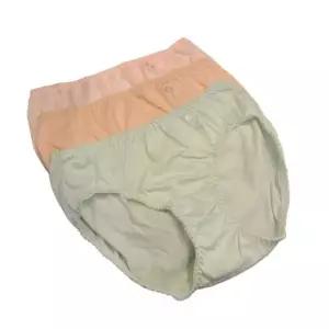[비너스](본점)24SS 칼라풀 면100% 꽃화분자수 데일리팬티 3매입 (VPT6948)
